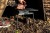 Fox FOX BIVVY TABLE Fox Bivvy Table  CAC805 Karpiowe Graty - Zdjęcie 2