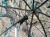 Parasol z boczną ścianką Delphin CLASSA CAMO 250cm 3/4 8586018508988 101003319 Karpiowe Graty - Zdjęcie 6