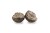 Mivardi Rapid Boilies Starter - Monster &amp; Halibut (3500g | 24mm) 8595712423695 M-RABOSTMOH3524 Karpiowe Graty - Zdjęcie 2