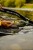 Zfish ZFISH Podbierak DLX 160cm 8505403223022 ZF-3022 Karpiowe Graty - Zdjęcie 5