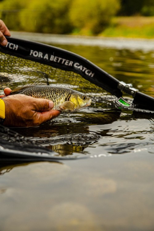 Zfish ZFISH Podbierak DLX 160cm 8505403223022 ZF-3022 Karpiowe Graty - Zdjęcie 5