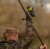 Avid Neoprene Finger Stall NEOPRENE FINGER STALL 5056317726794 A0640083 Karpiowe Graty - Zdjęcie 2