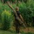 Avid Carp RVS Single Sleeve 12Ft RVS Single Sleeve 12ft 5056317733945 A0430078 Karpiowe Graty - Zdjęcie 13