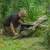 Avid Carp RVS 3 Rod Sleeve 12Ft RVS 3 Rod Sleeve 12ft 5056317733969 A0430080 Karpiowe Graty - Zdjęcie 13
