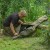 Avid Carp RVS 3 Rod Sleeve 13Ft RVS 3 Rod Sleeve 13ft 5056317733976 A0430081 Karpiowe Graty - Zdjęcie 13