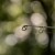 Avid Carp Elevate 12Ft 3.75Lb Elevate 12ft 3.75lb 5056317732818 A0460040 Karpiowe Graty - Zdjęcie 6