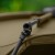 Avid Carp Exo+ Bivvy EXO+ Bivvy 5056317733716 A0530016 Karpiowe Graty - Zdjęcie 20