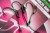 KCR082-4.jpg