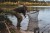 KLN001-2.jpg