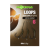 loop gape x.png