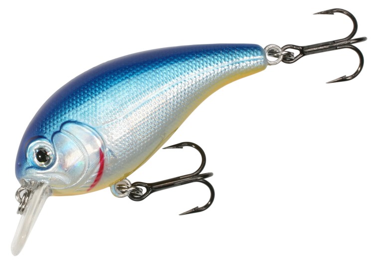 0a61dee1de7506fa427e14894caaf593