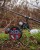 596a962f44a8181b364d99ab8587a0c8
