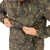 7.webp