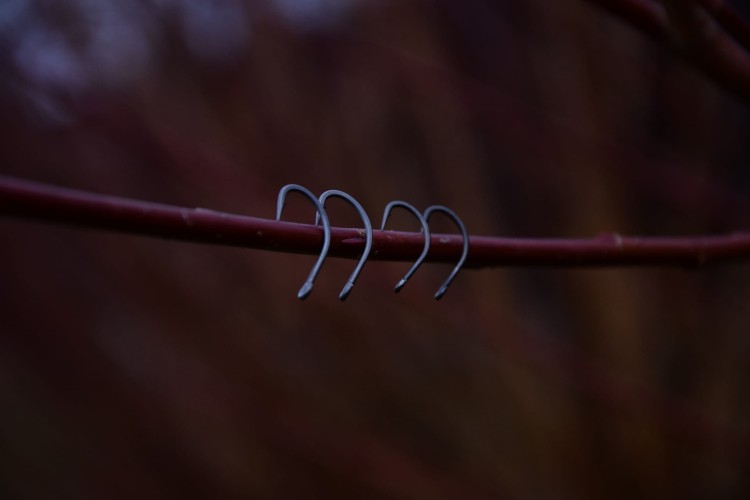 Mivardi Hooks M-Point AS No. 2 - haki karpiowe  Karpiowe Graty - Zdjęcie 7