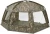 6.webp