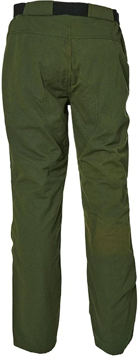 3.webp
