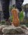 Fox FOX KHAKI/CAMO V2 BOOTFox Khaki / Camo V2  boot size 11/45  CFW178 Karpiowe Graty - Zdjęcie 16