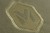 Mivardi Bedchair Professional Hex 8 8595712426184 M-BCHPROH8 Karpiowe Graty - Zdjęcie 5