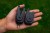 e55fc6cd1fac736eb7a413fc99ea351a