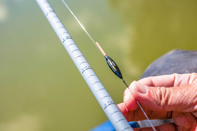 8f37cad3187090f193281e45ef0452d9