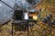 Fox 17 Litre Bucket Insert - wkładka do wiaderka wędkarskiego 5056212131426 Karpiowe Graty - Zdjęcie 1