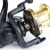 6.webp
