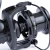 5.webp