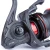 5.webp