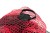 Fox Rage FOX RAGE STREET FIGHTER DROP NETS Fox Rage Street Fighter Drop Net 80cm  NLN029 Karpiowe Graty - Zdjęcie 13
