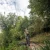 11.webp