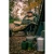 16.webp