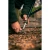 19.webp
