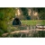 8.webp