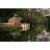 6.webp
