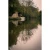 7.webp