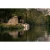 8.webp