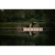 9.webp