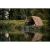 12.webp