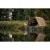 13.webp