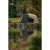 14.webp