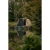 17.webp
