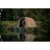 18.webp