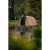 19.webp