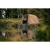 20.webp