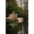 14.webp