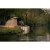 15.webp