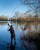 Fox FOX EOS X RODSEOS - X 12ft 3.5lb Full Shrink  CRD381 Karpiowe Graty - Zdjęcie 3