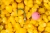 5.webp