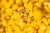 5.webp