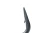 2.webp